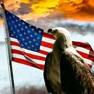 Meet your Posher, Kitty